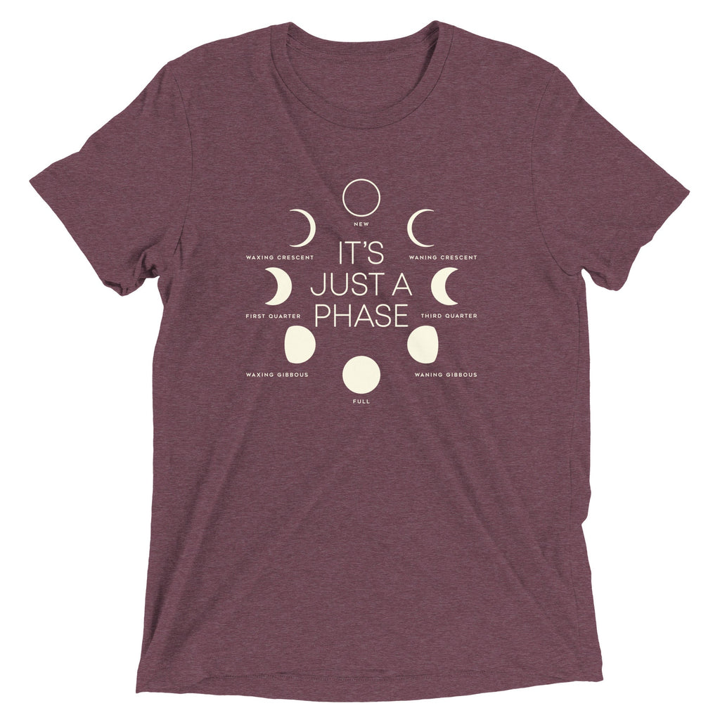It's Just A Phase Men's Tri-Blend Tee product image 6