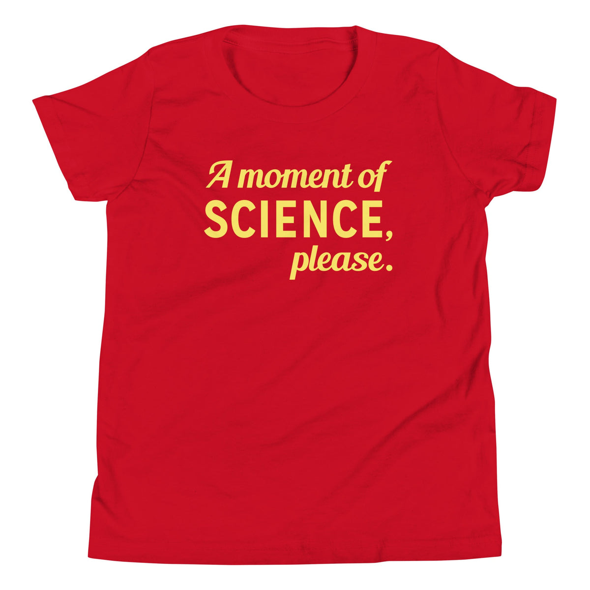 A Moment of Science, Please Kid's Youth Tee product image 3